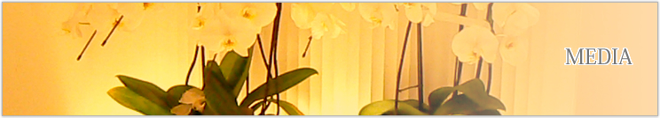 ���f�B�A�f�ڗ���