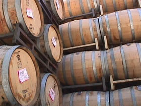 �V�����h�l��̃��C��