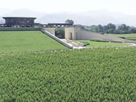 �I�[�p�X�E����