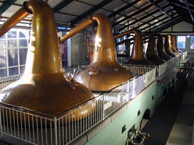 Highland Single Malt Scotch Whisky